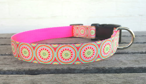 Beautiful Sophie Floral Dog Collar